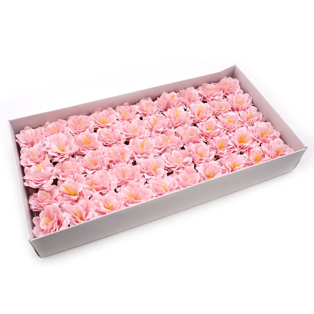 Sæbeblomster Pæon Lille Pink – 10 Stykker