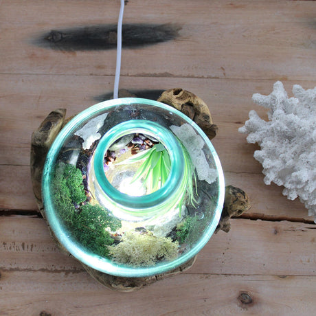 Kalalasiastia sulatetusta lasista valolla, 3.7L 30cm