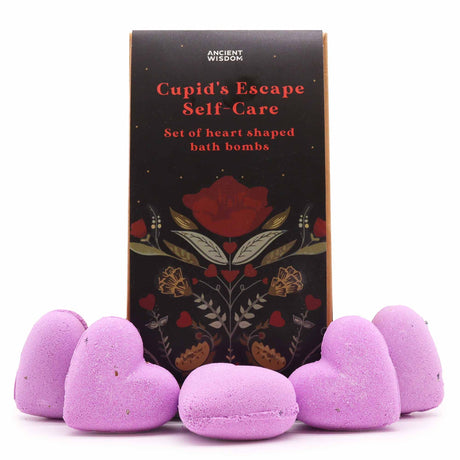 Bath Bomb Gift Set – 5 Pack French Lavender