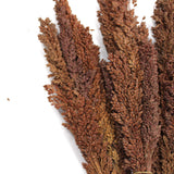 Cantal Grass Bunch Chocolate – Set of 6
