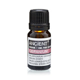 Geranium Essential Oil Steam Distilled 10ml