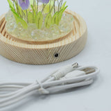 Floral Glow Garden Dome – 20 Multi Tulips – LED USB