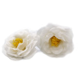 Såpeblomster Kamelia Hvit 10 Pakke