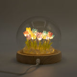 Floral Glow Garden Dome – 20 Multi Tulips – LED USB