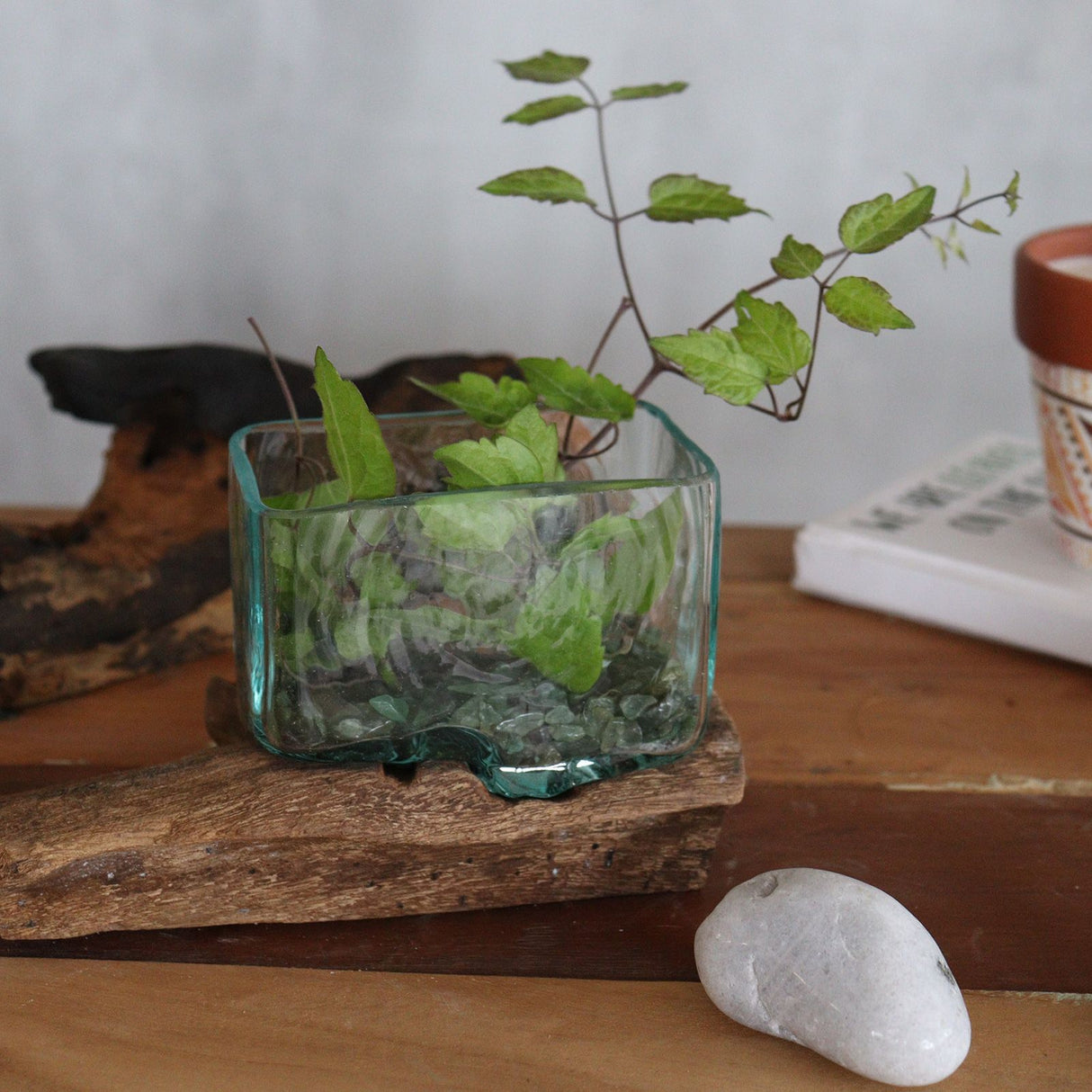 Molten Glass Bowl on Wood Stand, Medium