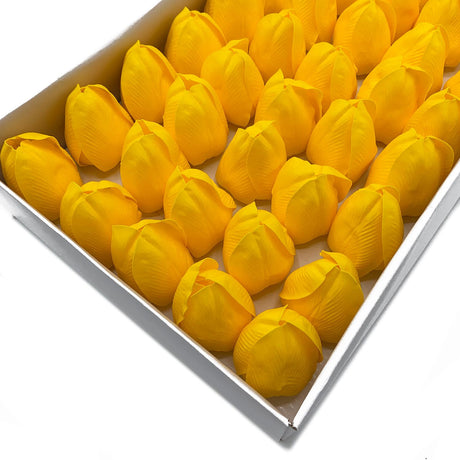 Sæbeblomst Tulipaner, Gul Sæt Med 10