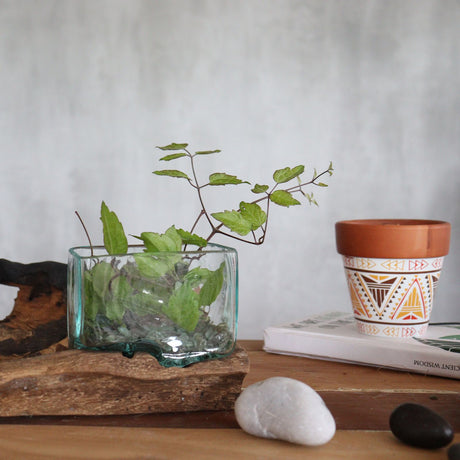 Recycled Molten Glass Bowl on Wood, Small