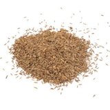 Celé feniklové semienka fínske 1 kg