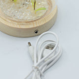 Floral Glow Garden Dome – 2 Dandelions – LED USB