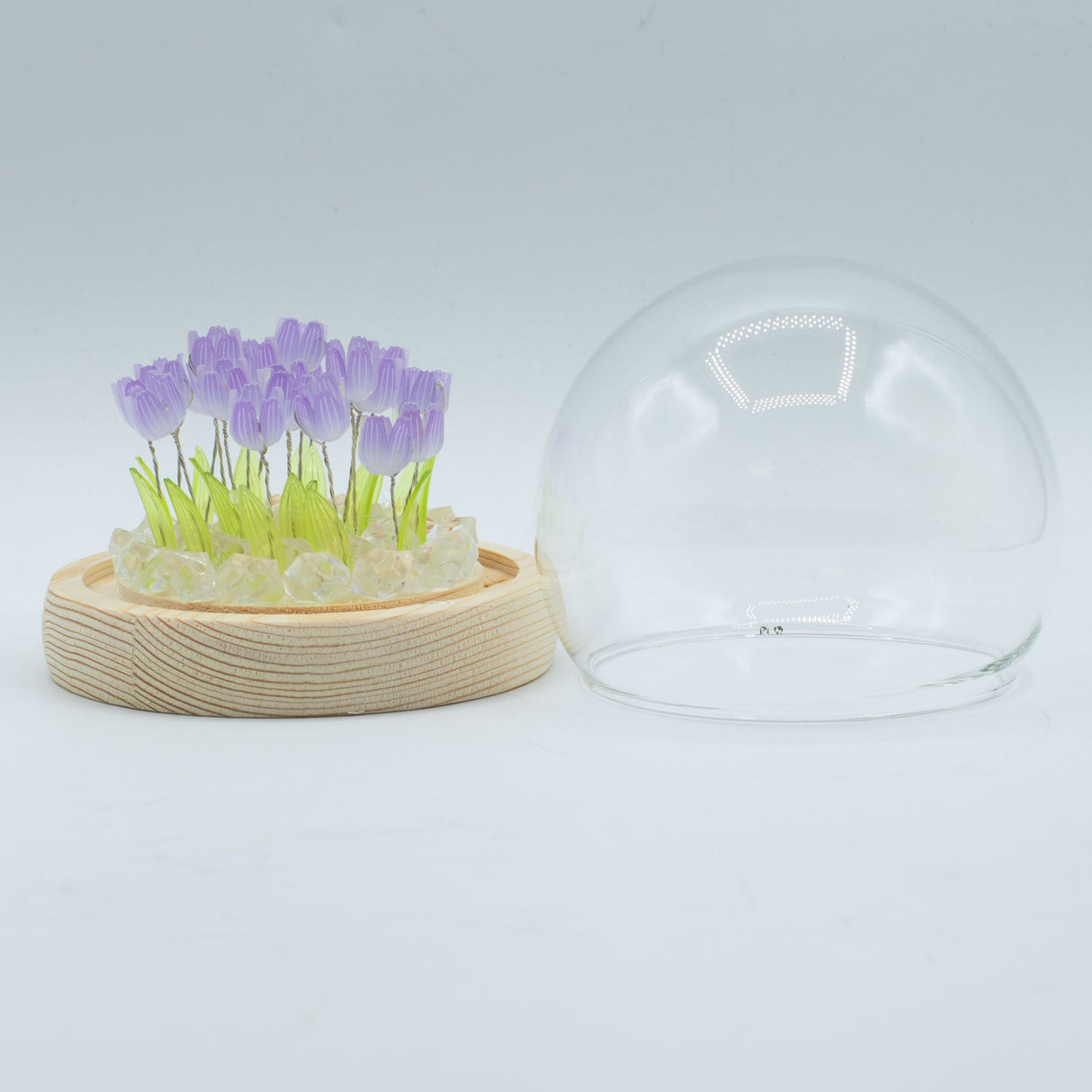 Floral Glow Garden Dome – 20 Tulips – LED USB