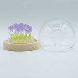 Floral Glow Garden Dome – 20 Tulips – LED USB