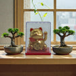 Mini Solar Powered Money Cat in Box – Gold, Maneki Neko