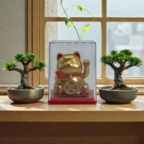Mini Solar Powered Money Cat in Box – Gold, Maneki Neko