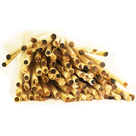 Reed Diffuser Sticks 2mm 100
