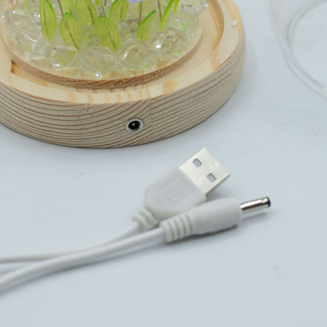 Floral Glow Garden Dome – 20 Tulips – LED USB