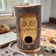 Tree Trunk Face – Bird House – Wise Owl