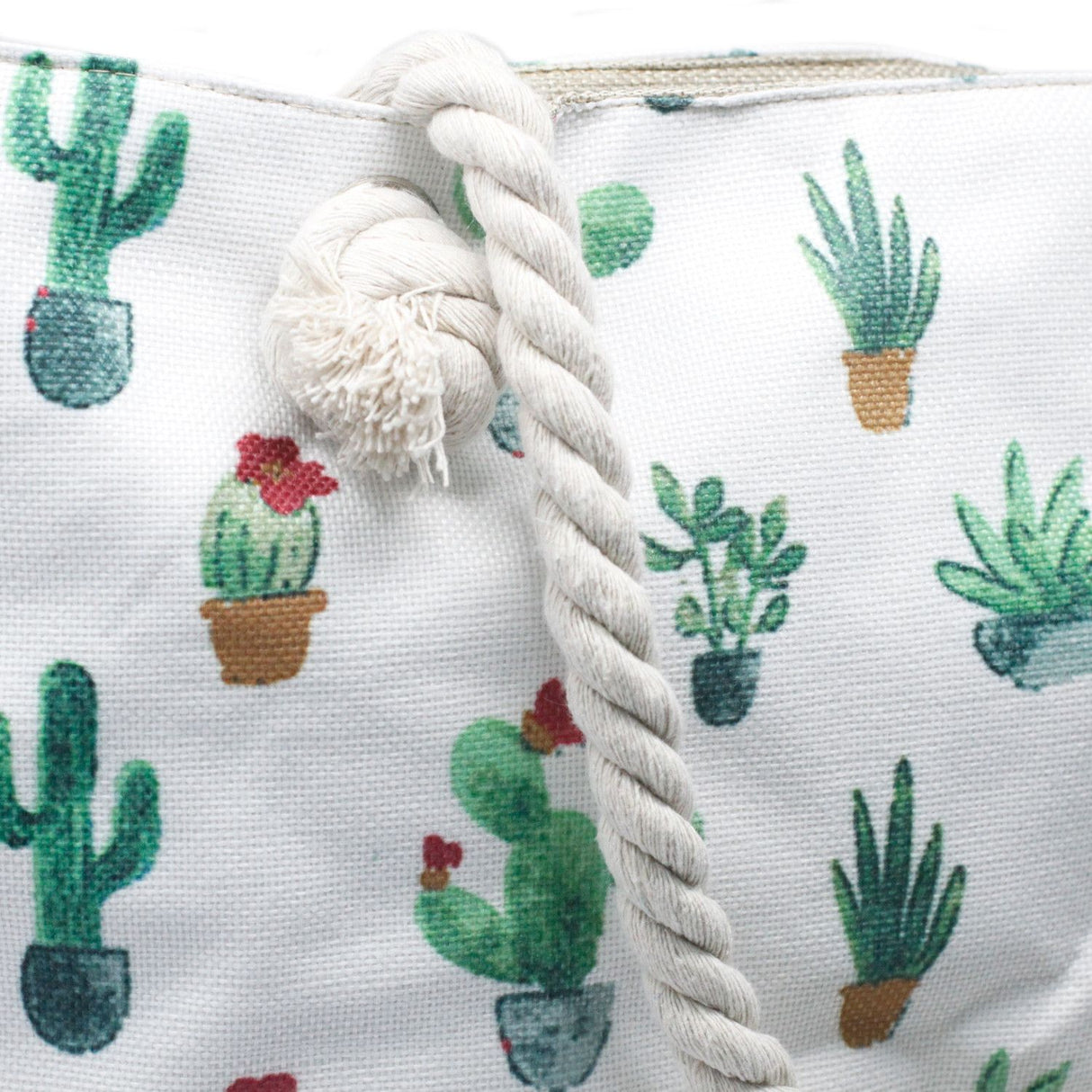 Bolsa de regalo con asas de cuerda, mini cactus