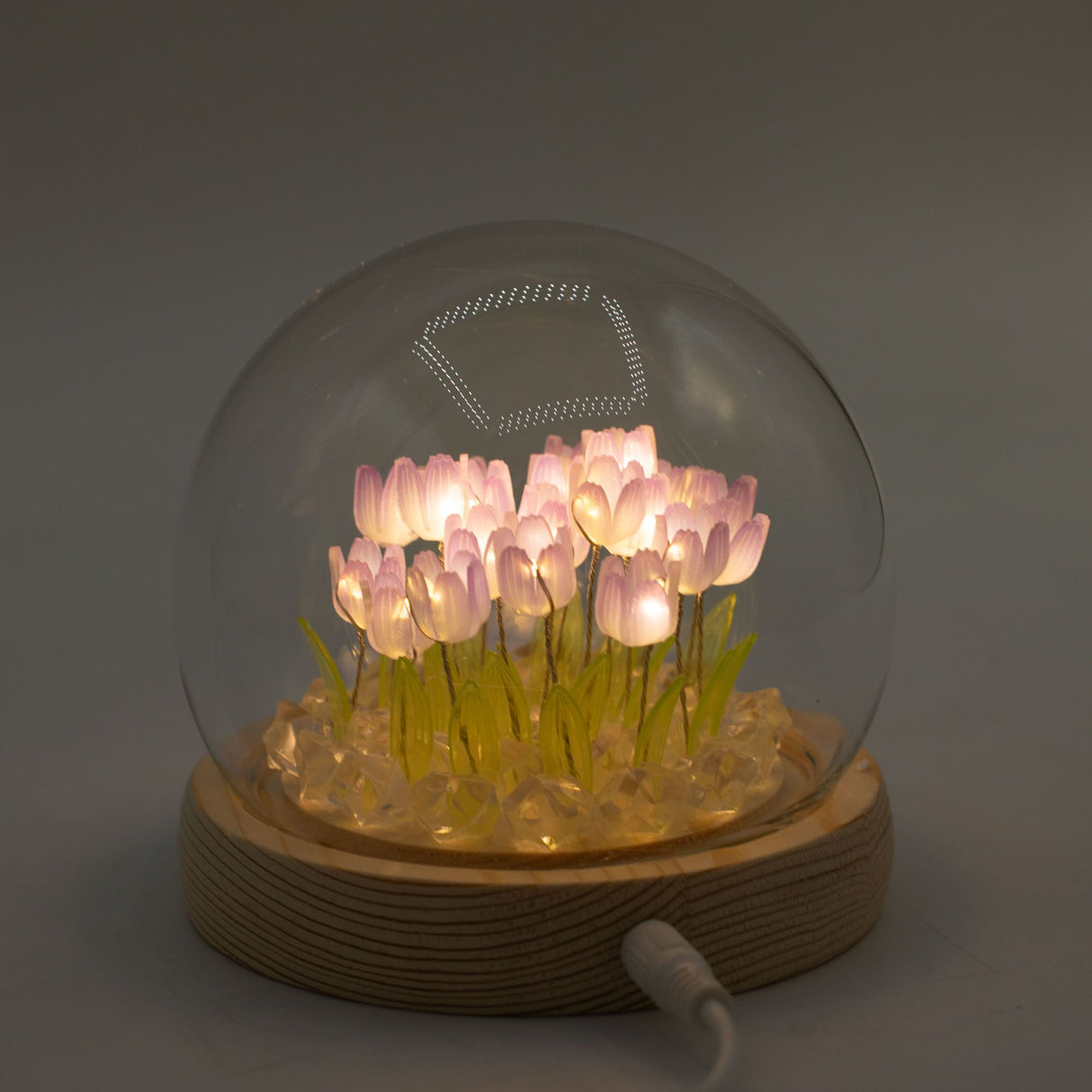 Floral Glow Garden Dome – 20 Tulips – LED USB