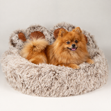 PAW Bed – Medium Big Paw – 60cm