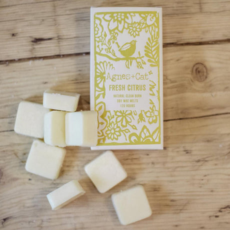 Agnes + Cat Box of 8 Wax Melts – Fresh Citrus