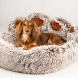 PAW Bed – Large Big Paw – 70cm
