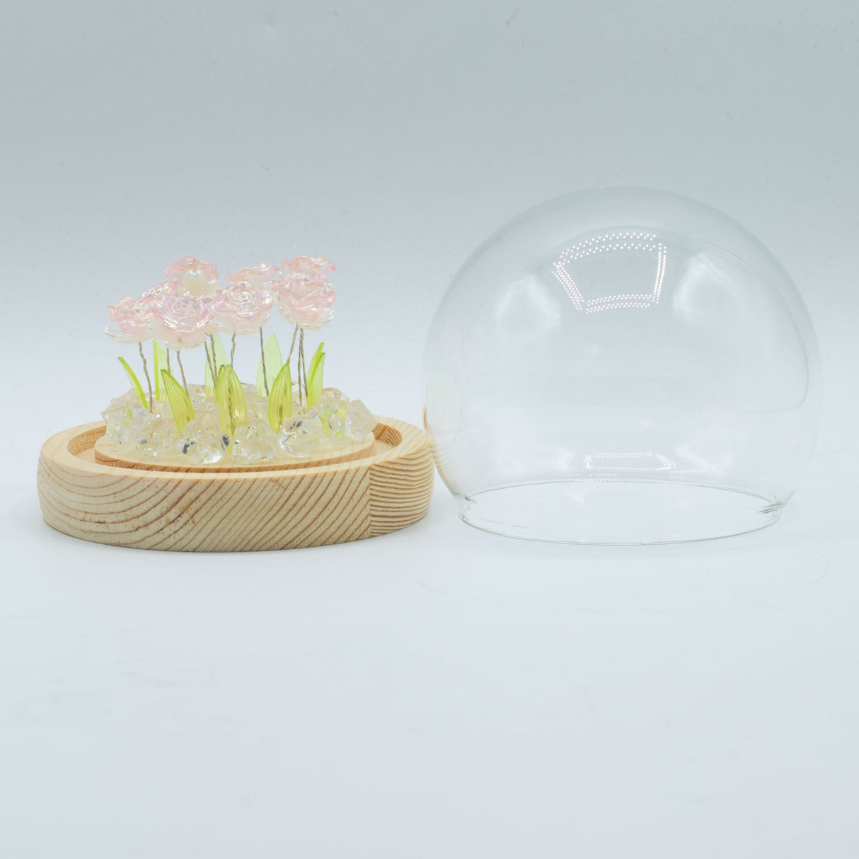 Floral Glow Garden Dome – 10 Pink Roses – LED USB
