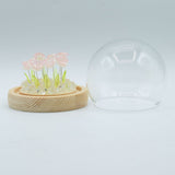 Floral Glow Garden Dome – 10 Pink Roses – LED USB