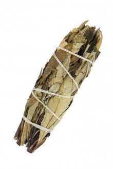 Yerba Santa salvia suitsuke, 10 cm