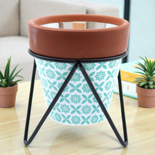 Agnes + Cat Herb Garden Candles – Rosemary