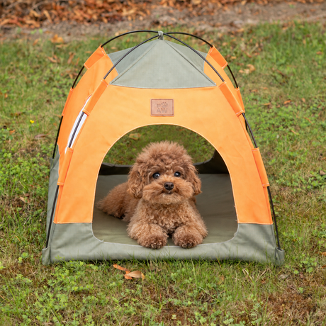 PAW Bed – Green & Orange Tent – 48 × 48 × 40 cm