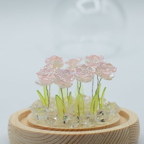 Floral Glow Garden Dome – 10 Pink Roses – LED USB