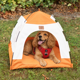 PAW Bed – Beige & Orange Tent – 58 × 58 × 48 cm