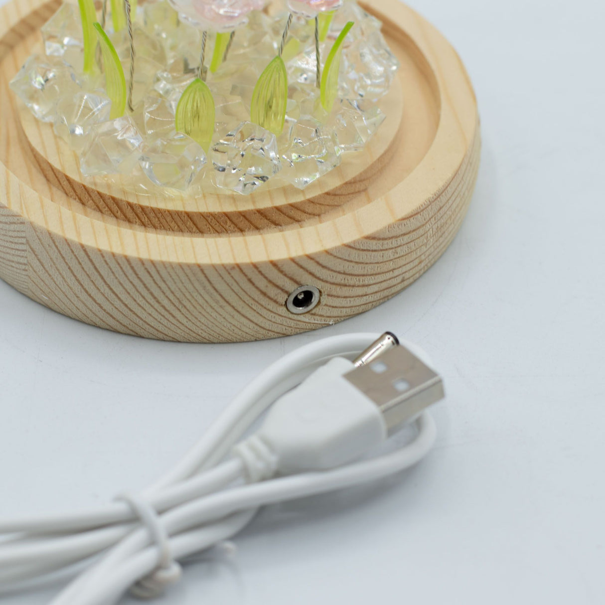 Floral Glow Garden Dome – 10 Pink Roses – LED USB