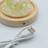 Floral Glow Garden Dome – 10 Pink Roses – LED USB