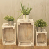 Fruit Box Set of 3 – Whitewash