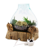 Aquarium en verre fondu avec lumière, 3.7L 30cm