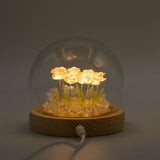 Floral Glow Garden Dome – 10 Pink Roses – LED USB