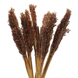 Cantal Grass Bunch Chocolate – Set of 6