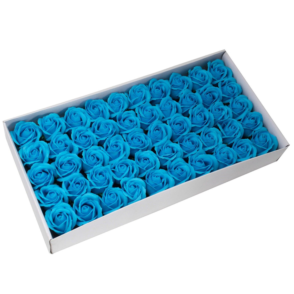 Tvålblommor Medium Ros Himmelblå 10-pack