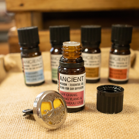 Car Diffuser Essential Oil Blend, Family Trip 10ml