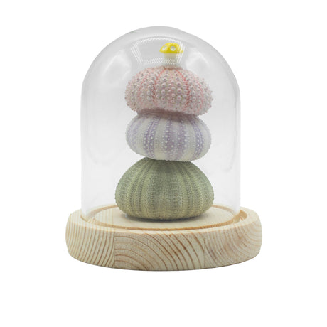 Floral Glow Garden Dome – 3 Sea Urchins – LED USB
