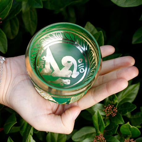 Şarkı Söyleyen Kase Hediye Seti, Yeşil