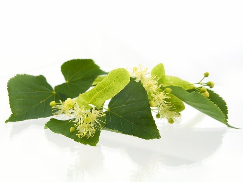 Tea Tree Essential Oil Soap Bar 100g