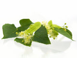Tea Tree Essential Oil Soap Bar 100g