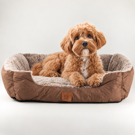 PAW Bed – Small Plush Teddy Brown – 60 × 45 × 17 cm