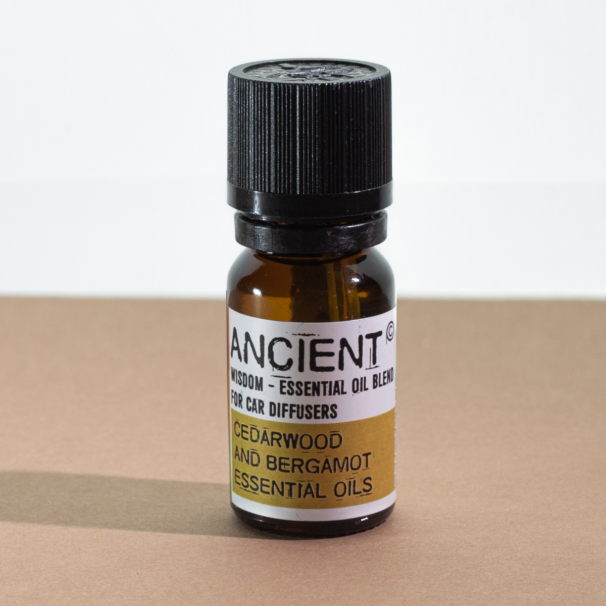 Car Diffuser Essential Oil Blend, Family Trip 10ml