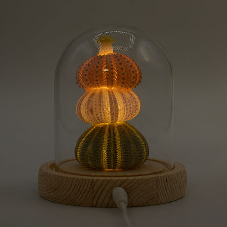 Floral Glow Garden Dome – 3 Sea Urchins – LED USB