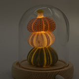 Floral Glow Garden Dome – 3 Sea Urchins – LED USB