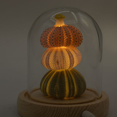 Floral Glow Garden Dome – 3 Sea Urchins – LED USB
