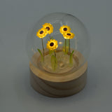 Floral Glow Garden Dome – 5 Sunflowers – LED Battery